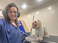 Groomer