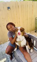 Groomer
