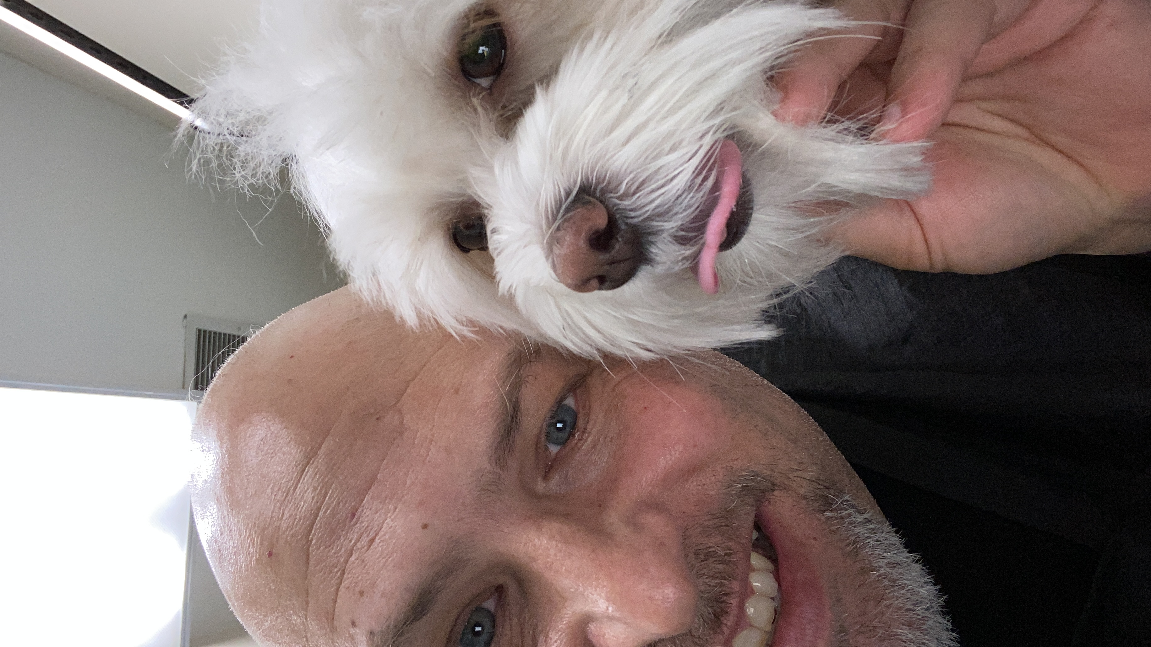 Neil V. - Dog Groomer in New York