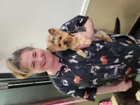 Groomer