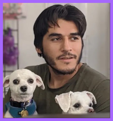 Groomer