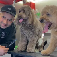 Groomer