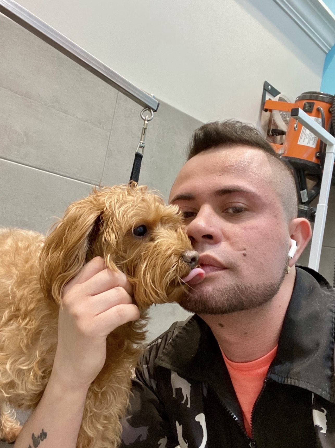 Oscar C. - Dog Groomer in Middlesex