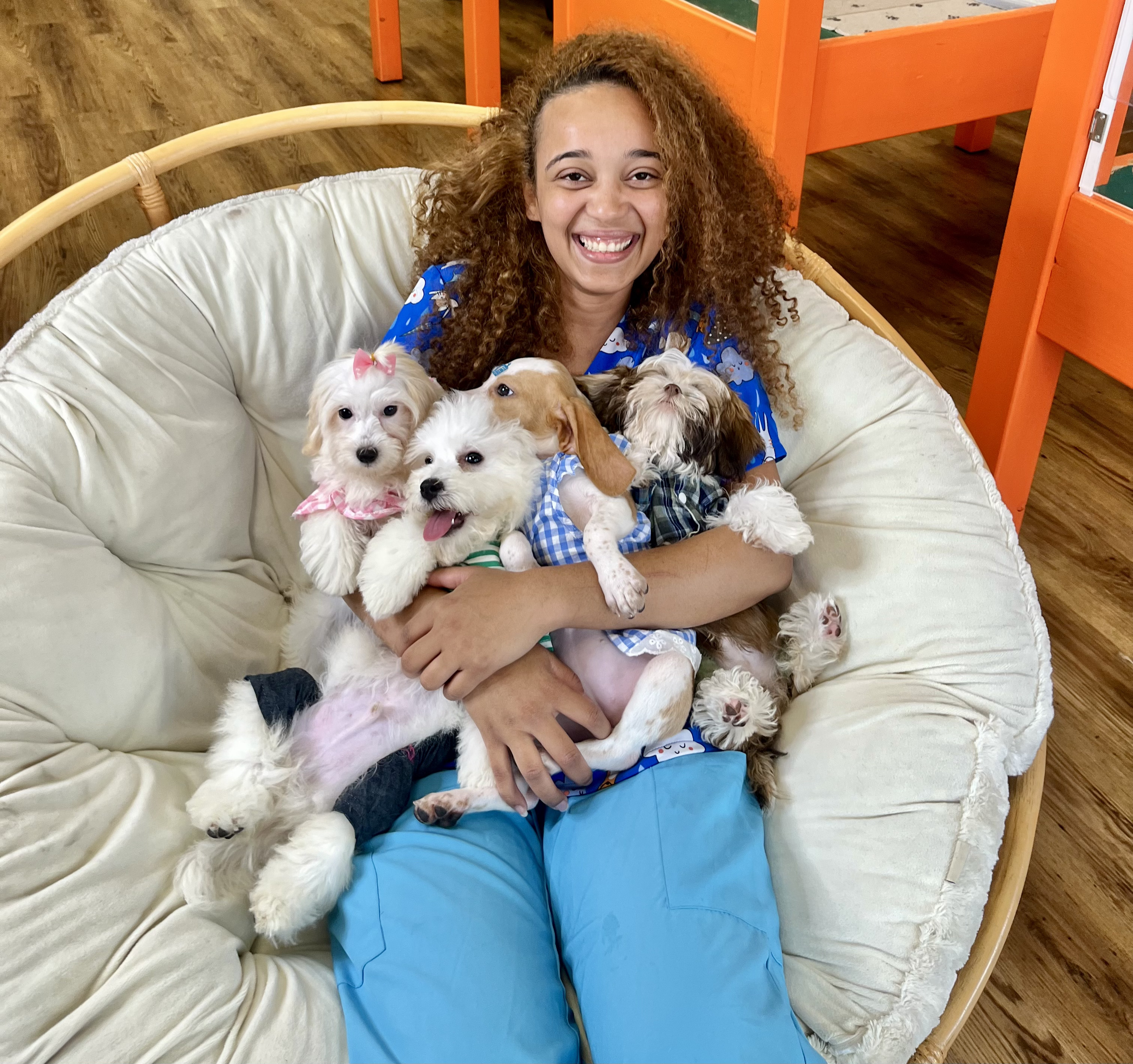 Raiane  D. - Dog & Cat Groomer in Essex