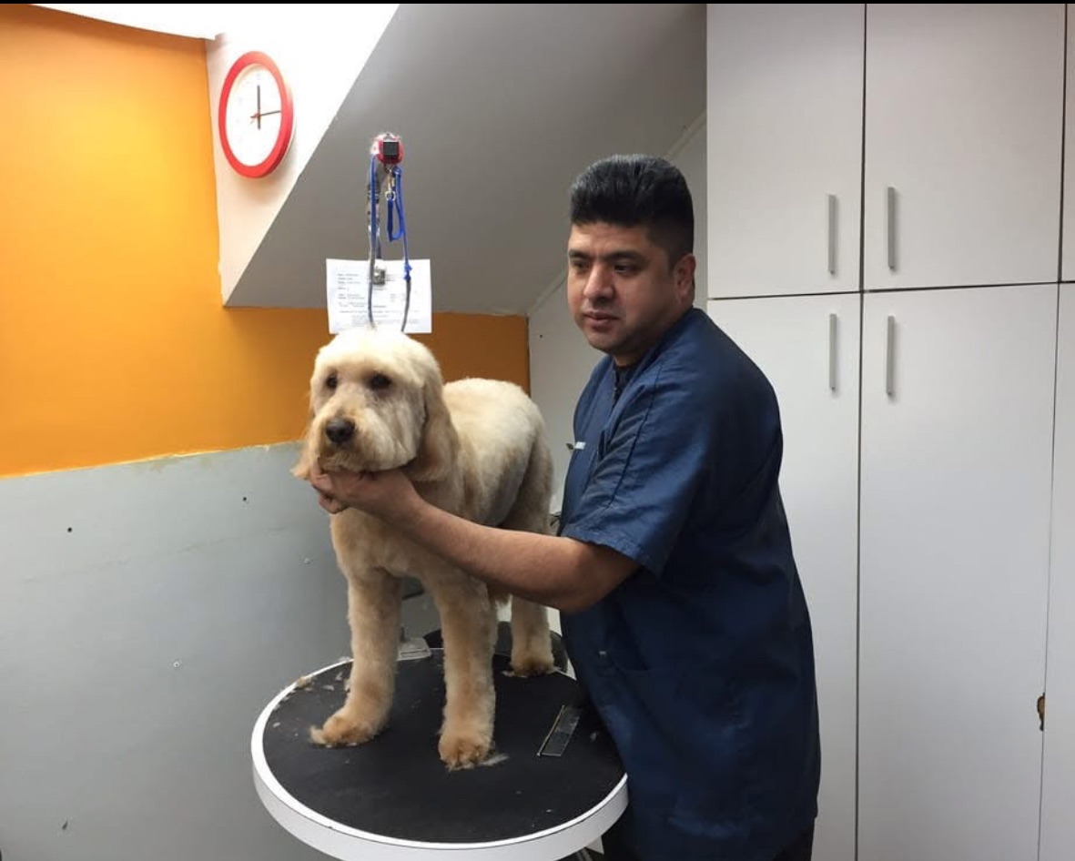 Arturo F. - Dog Groomer in New York