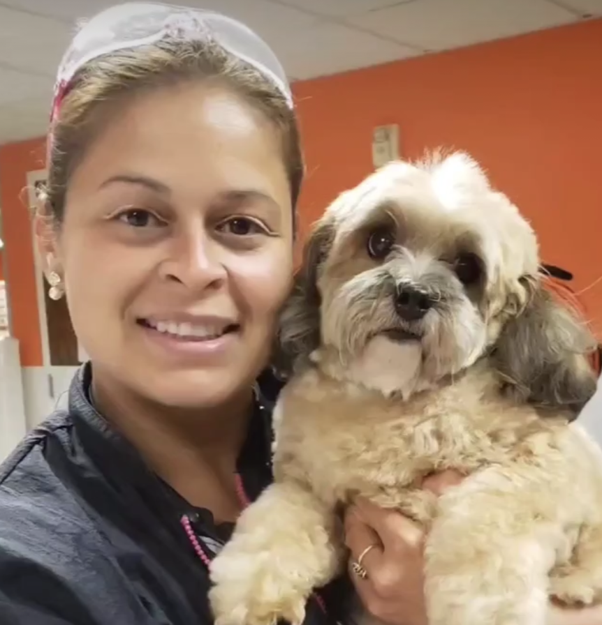 Eblin S. - Dog Groomer in Suffolk