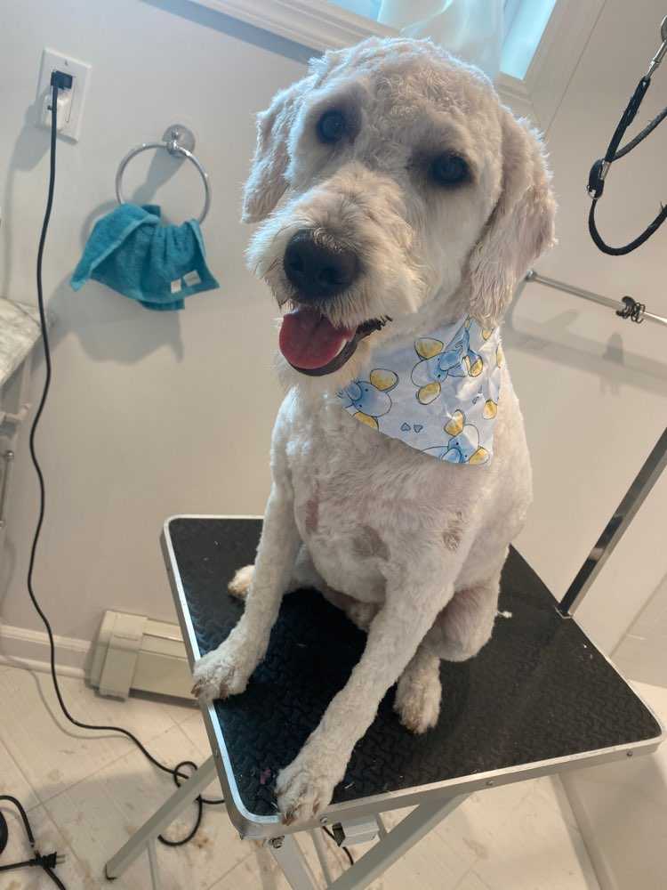 Archie