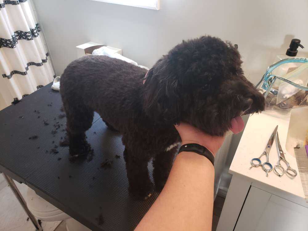 Remi