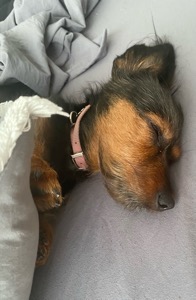 Chloe