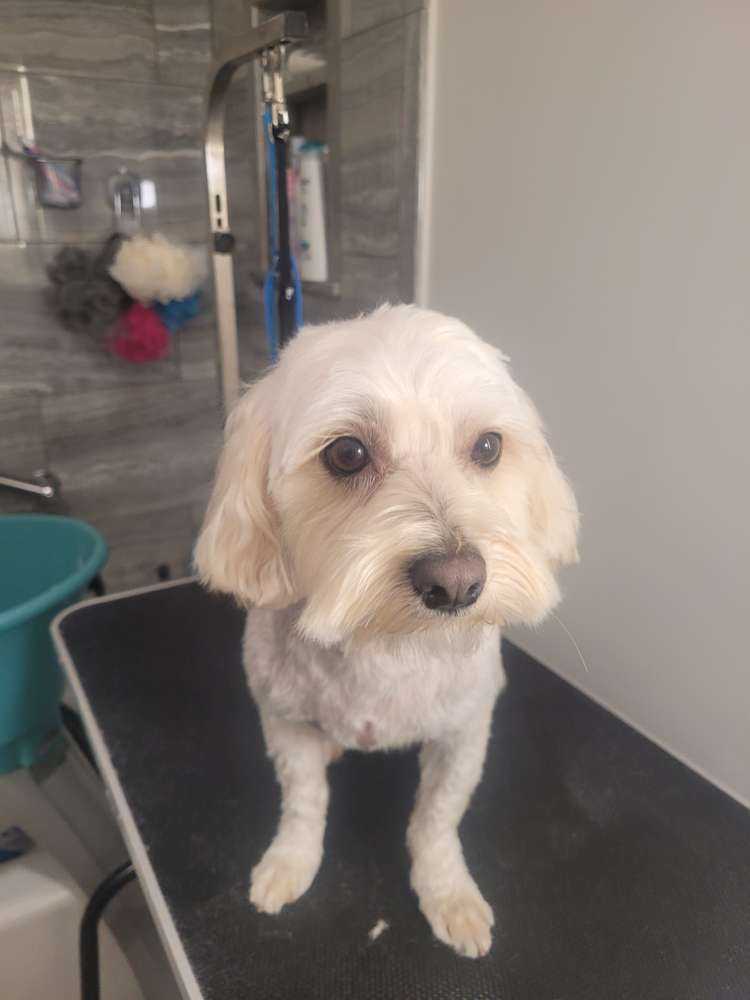 MILO