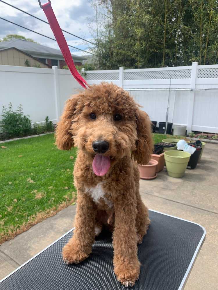 Bailey