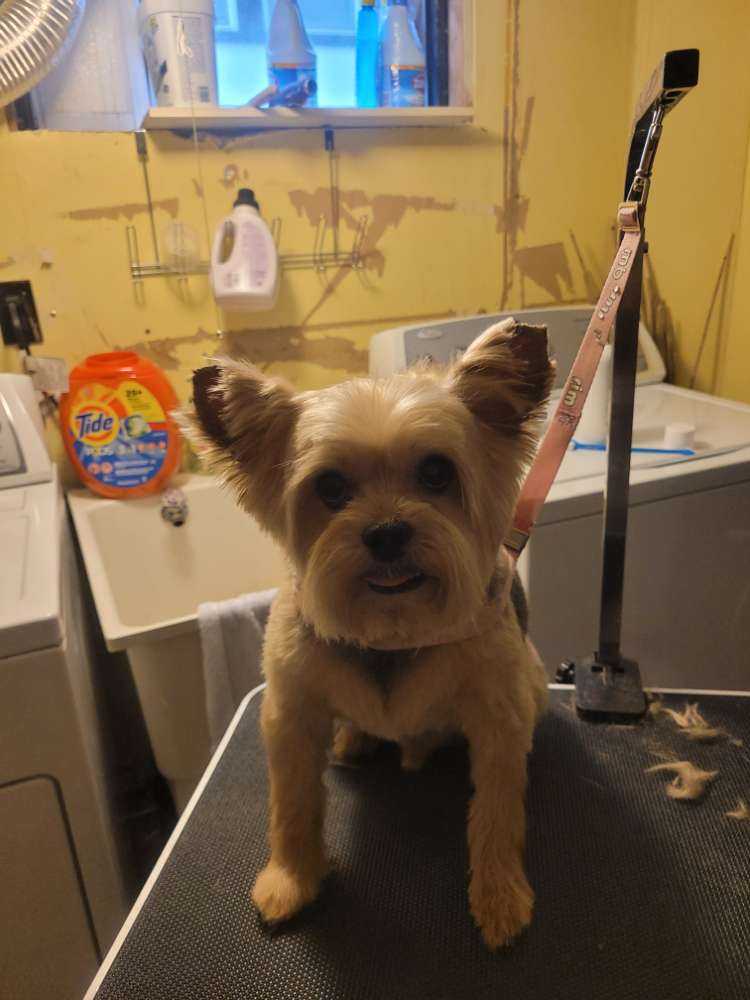 Darwin
