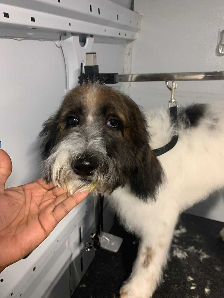 COCO