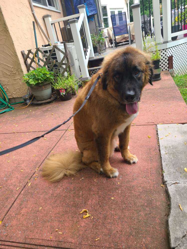 Titan