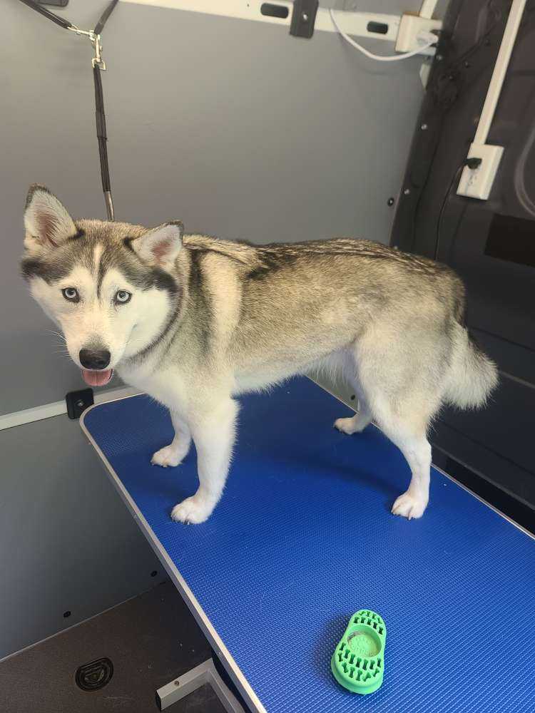 Kaia