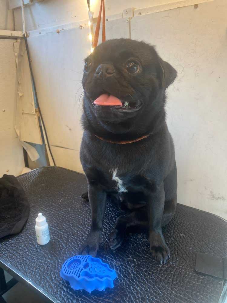Bernard