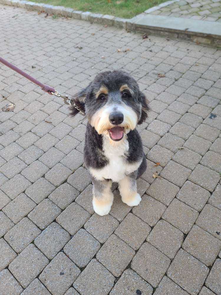 Reilly