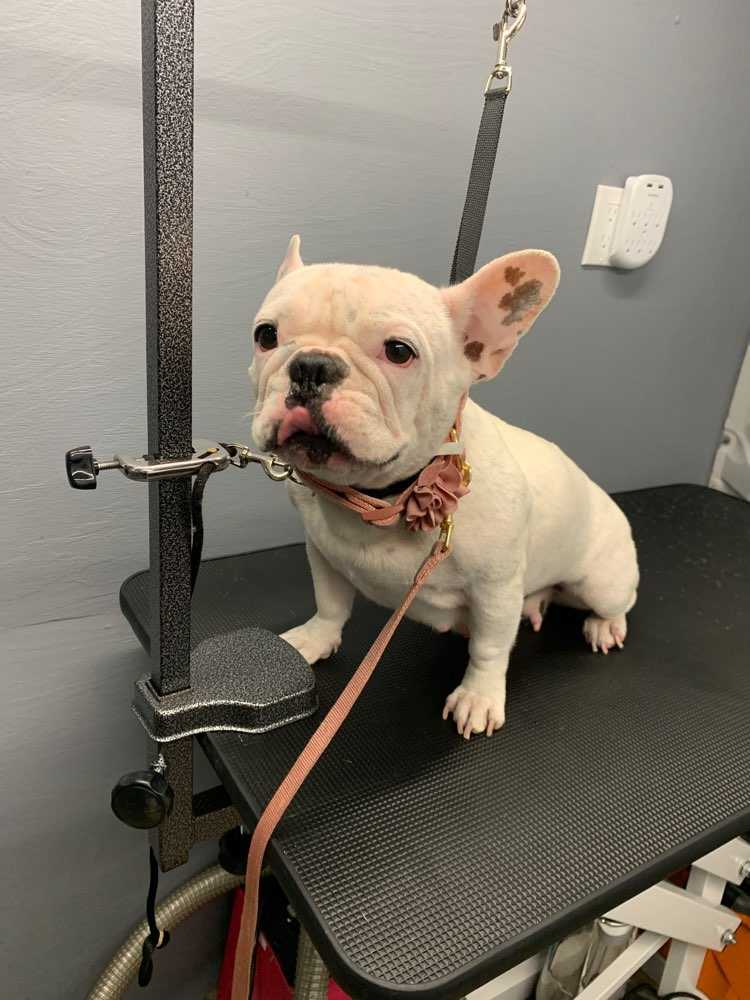 Coco 