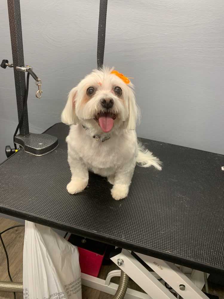 Marley