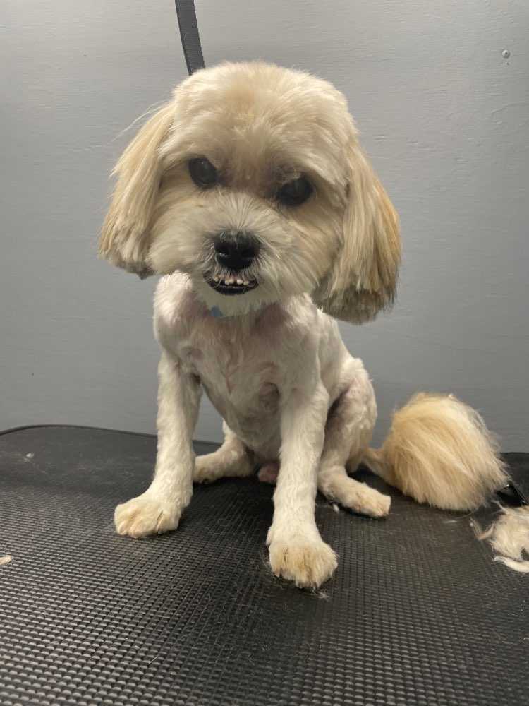 Max 