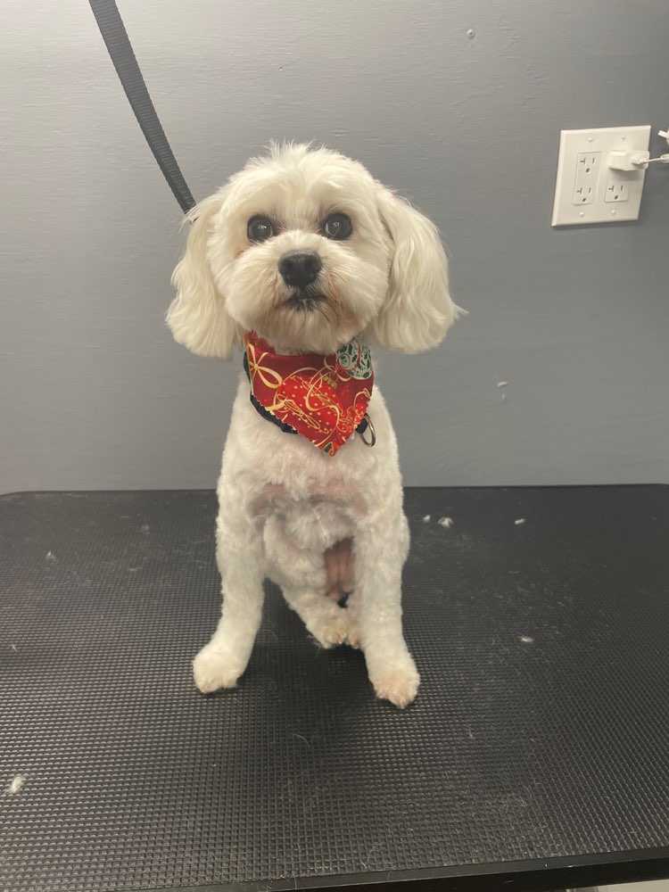 Bailey