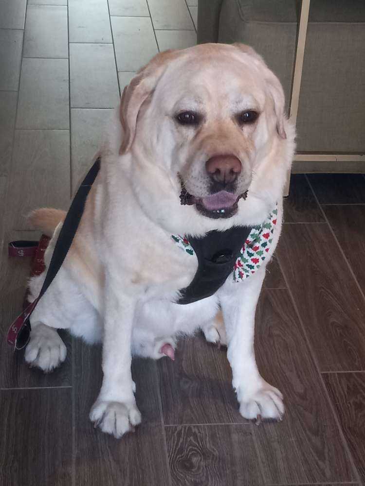 Ranger
