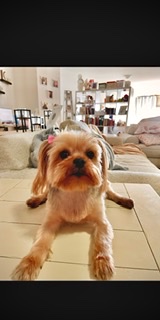 Mia