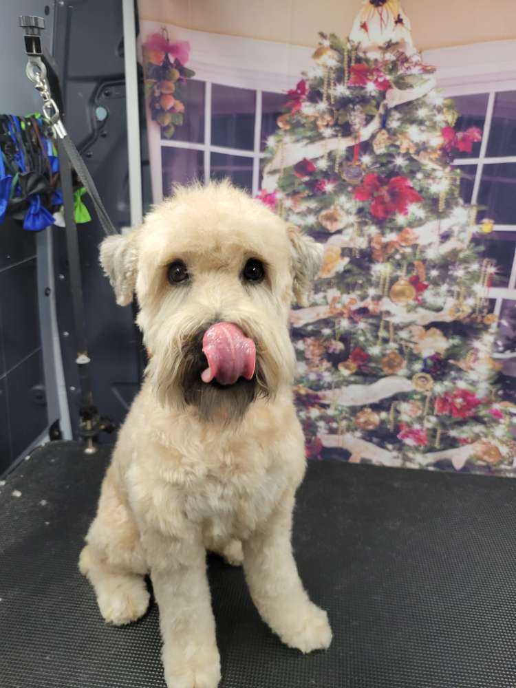 Maddie