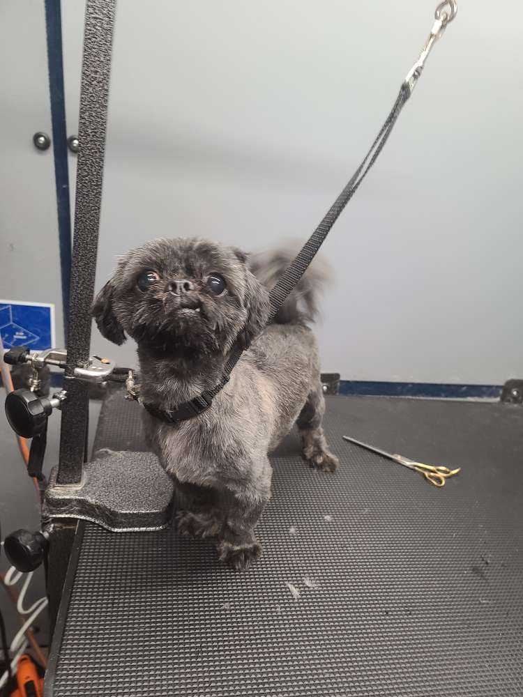 Sam