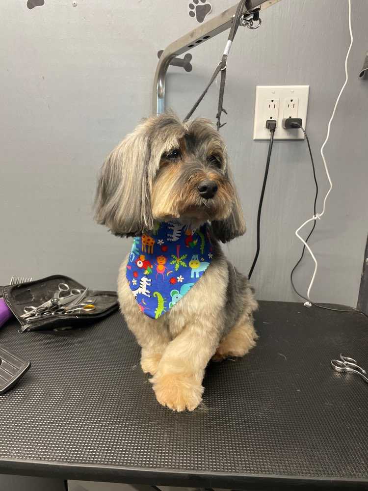 Tucker