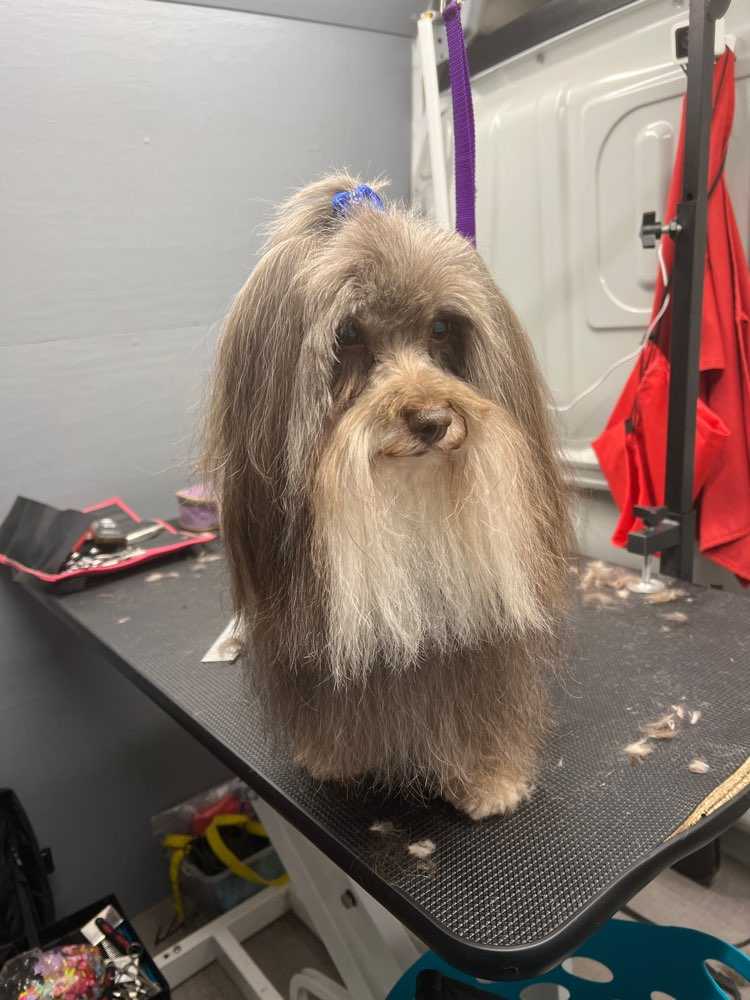 Winston