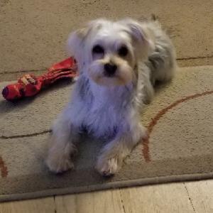 Penny 