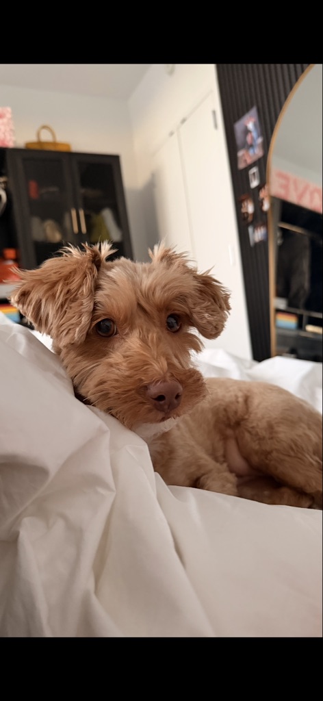 Myla