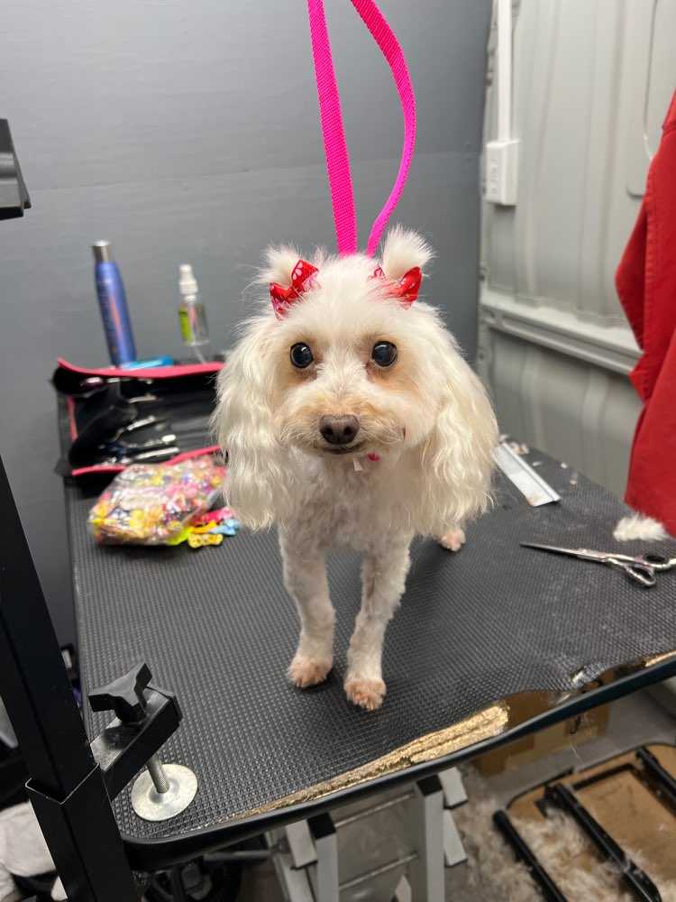 Charlie