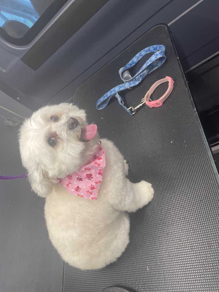 Sophie Gem