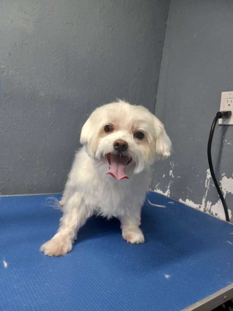 Murphy