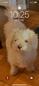 Simon
