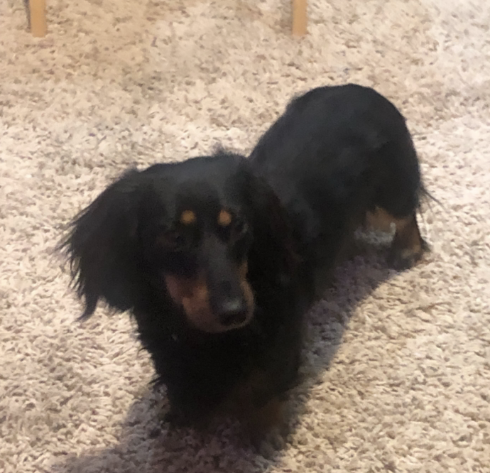 Enzo