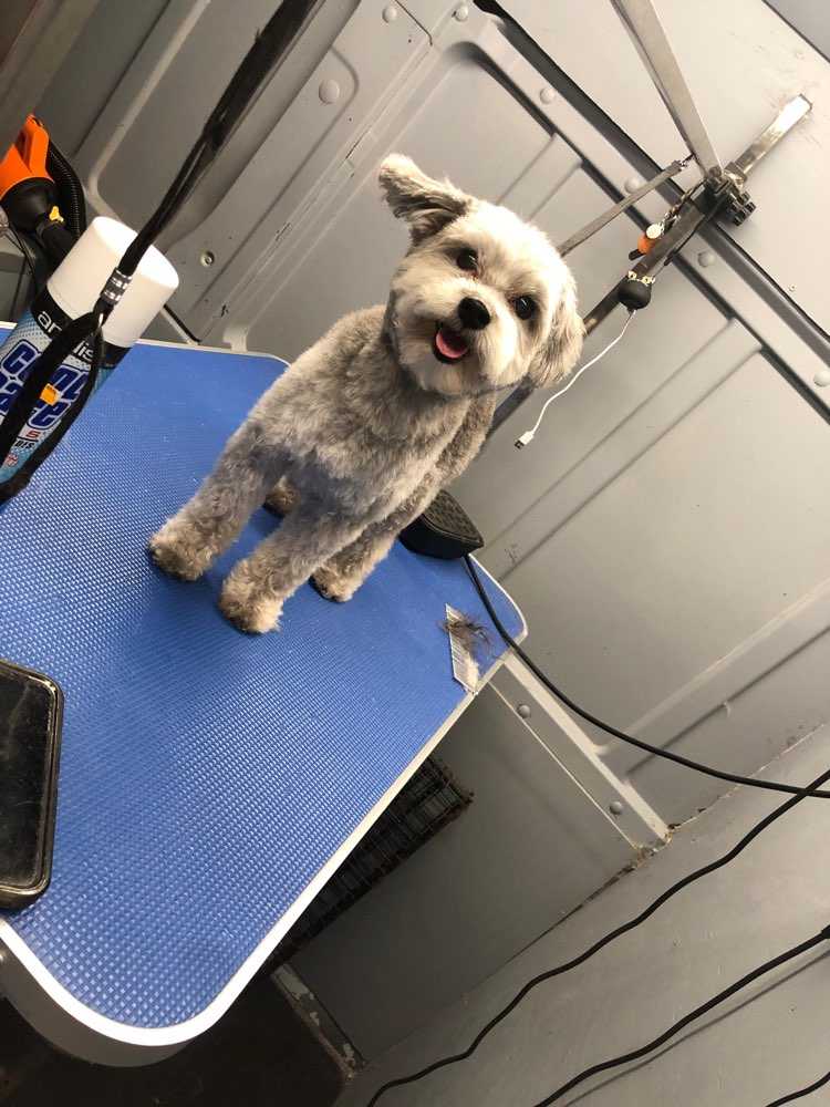 Marley