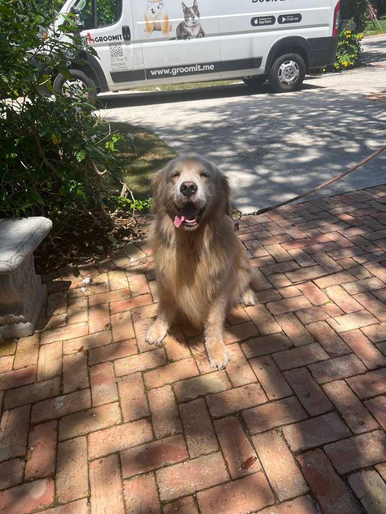 Legolas