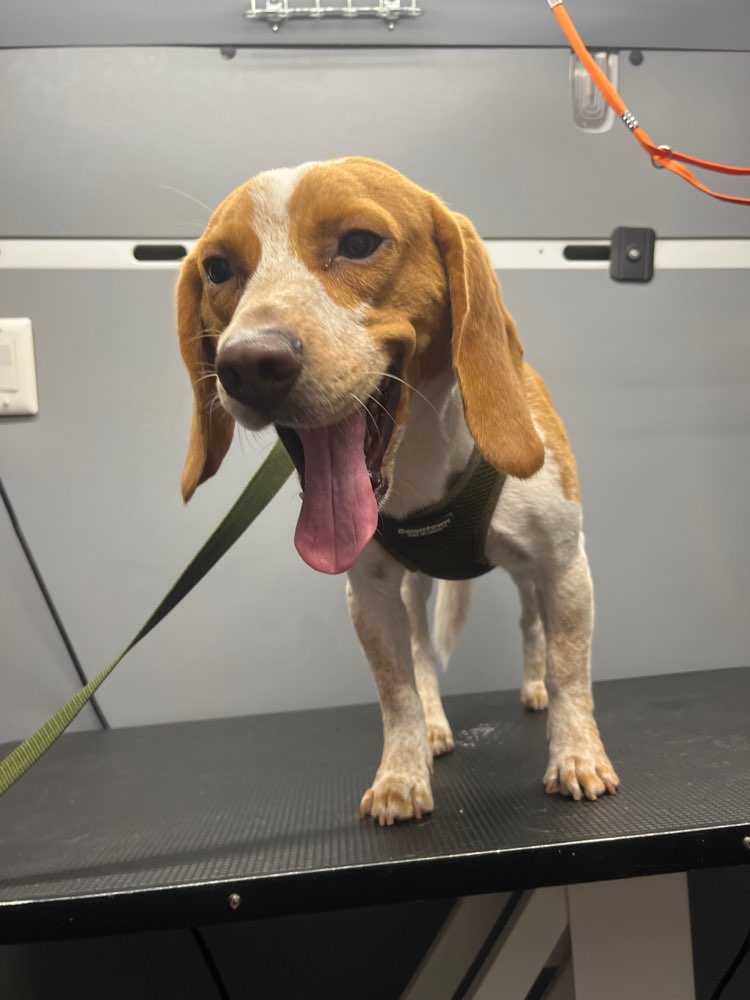 Sammy