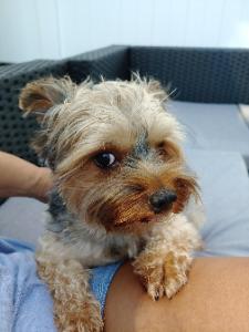 KINGSLEY 