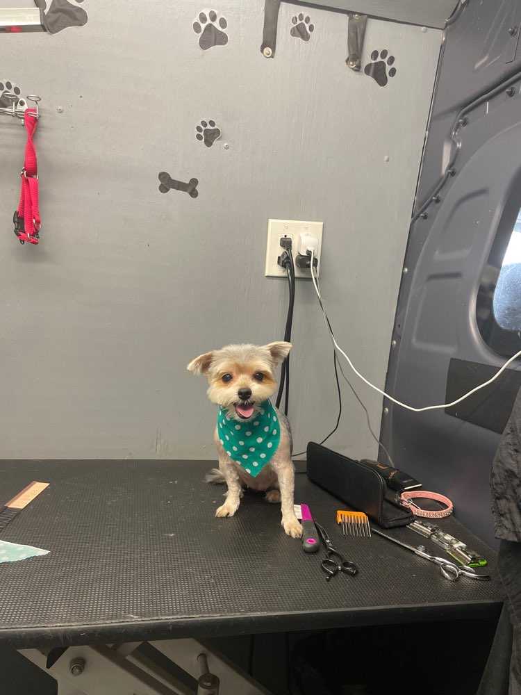 Chloe