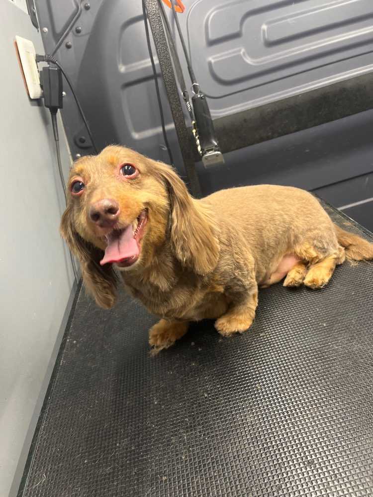 Sammy