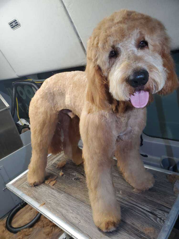Tucker