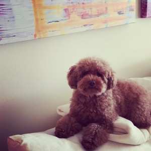 Milly