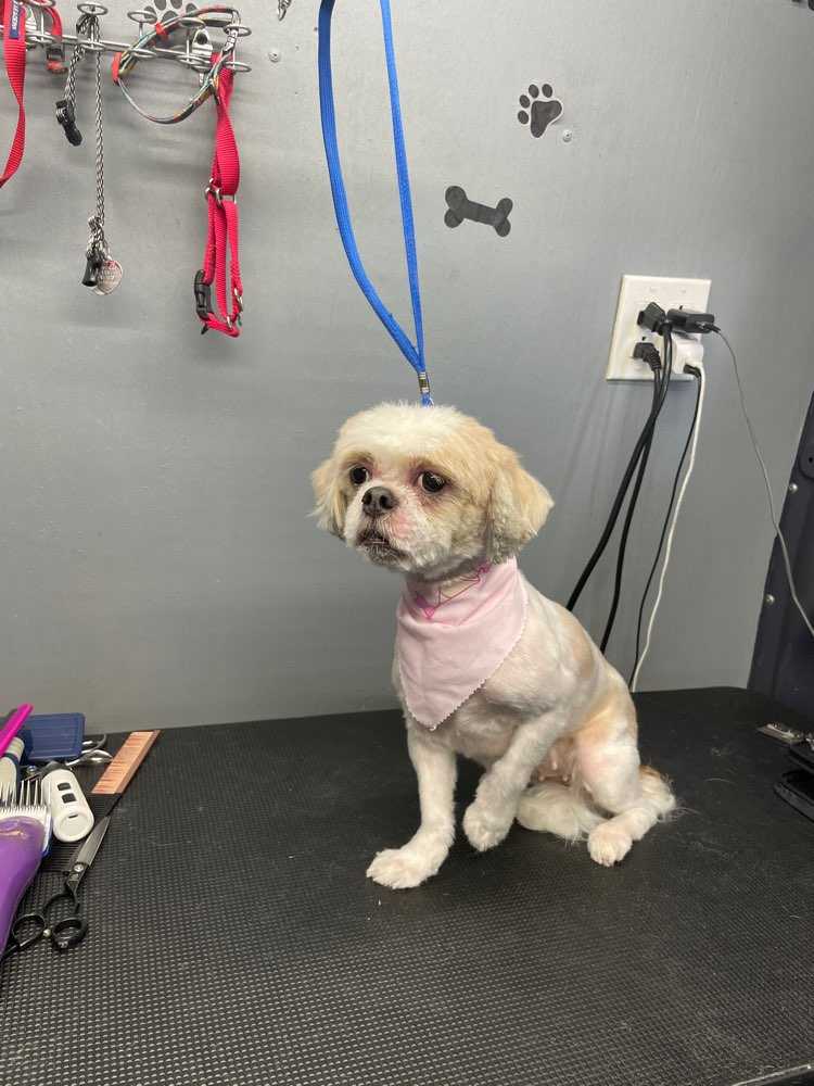 Millie