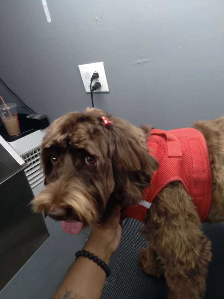 Coco