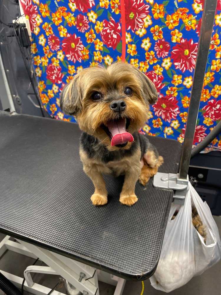 Buster