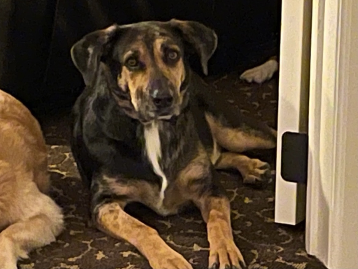 Roscoe
